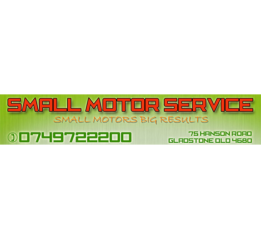 Small Motor Service