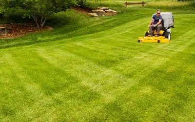 Striping Grass with a Walker Mower