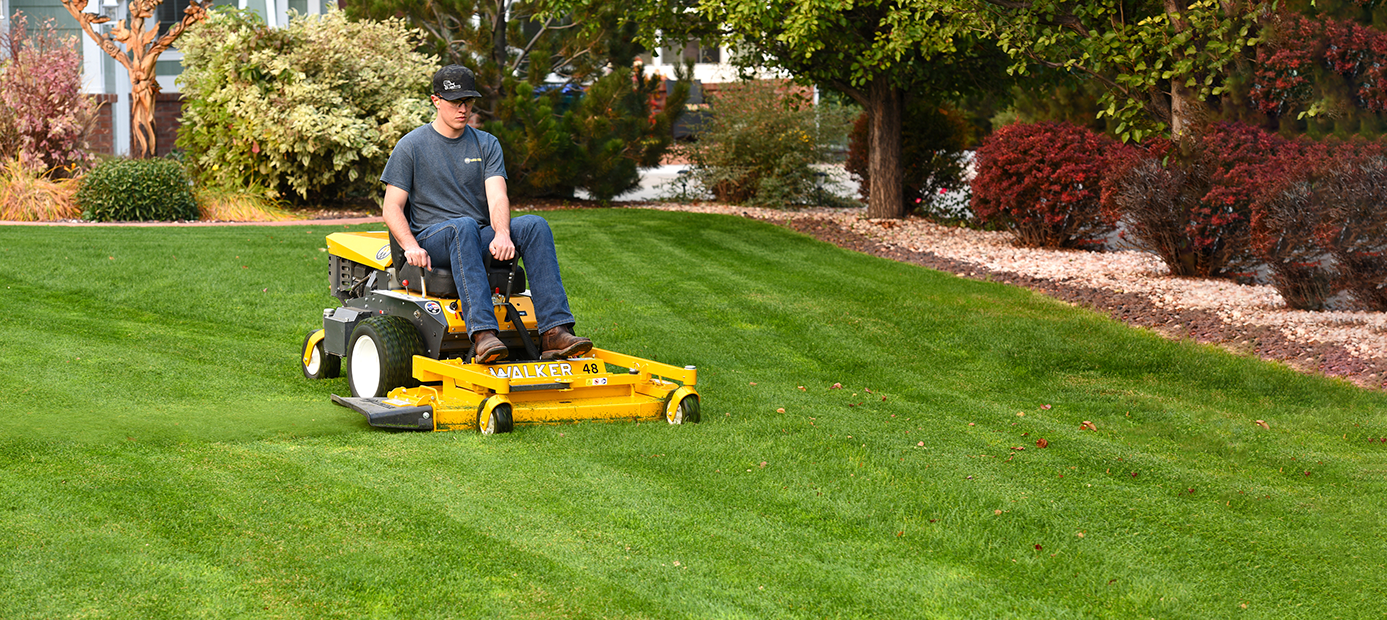 Walker B23 mowing a crisp green lawn beside landscaped garden beds