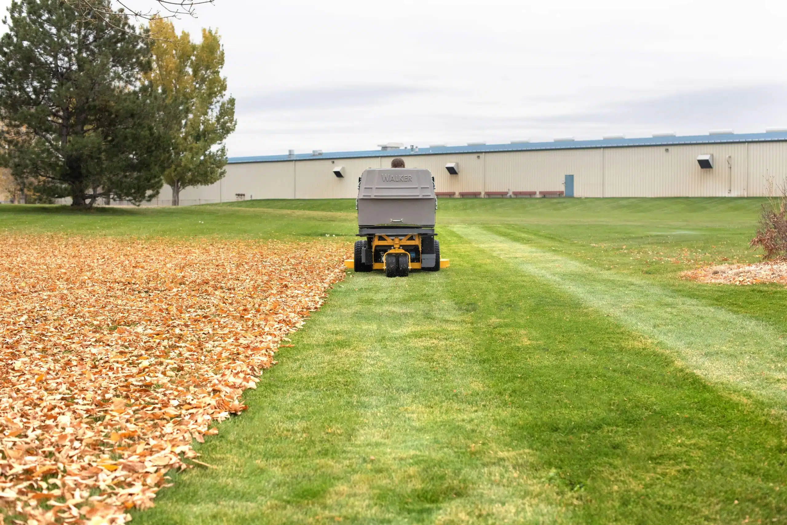 Used Lawn Mowers Walker C23I Collecting Fallen Leaves On Commercial Grounds