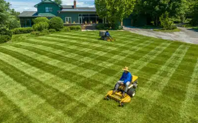 Walker C23i Ride-On Mower Review: Power Speed & Value