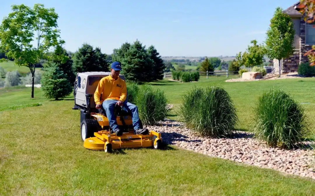 Why Seeing A Walker Mower In Action Makes All The Difference