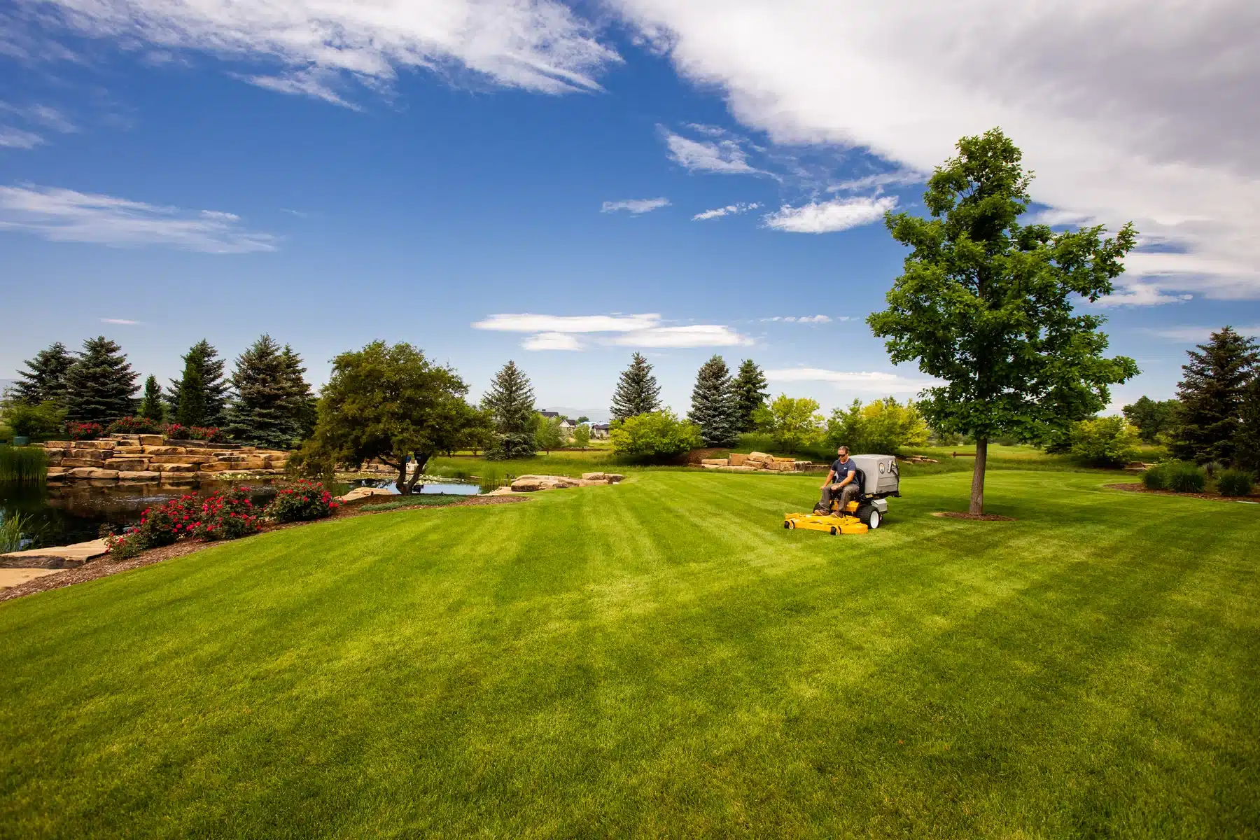 48 Inch Mowers Walker T27I With 52-Inch Collection Deck — Open Lawn